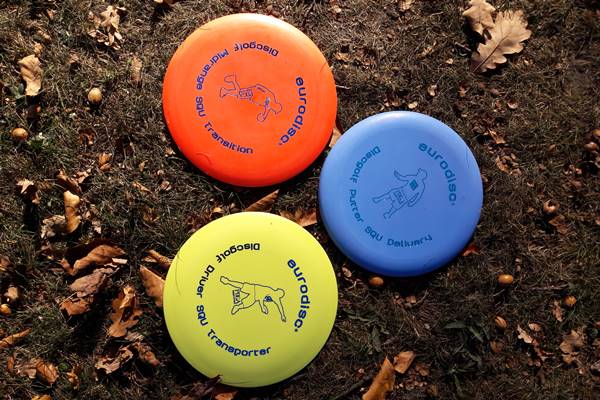 Discgolf in München, Firmenfeier, Bertriebsausflug, Teambuilding Power, Teamevent, Junggesellenabschied